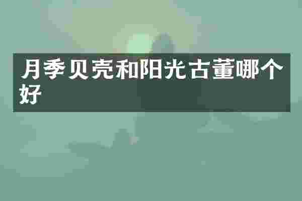 月季贝壳和阳光古董哪个好