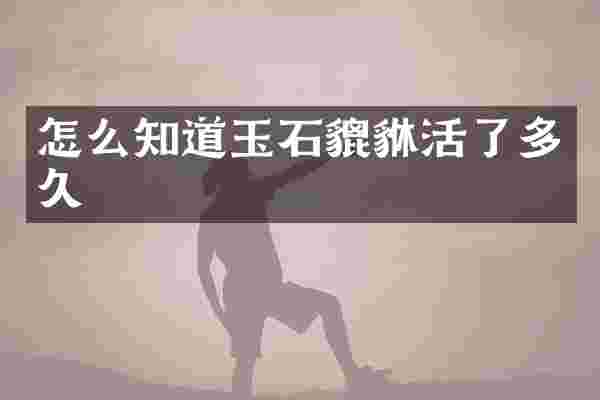 怎么知道玉石貔貅活了多久