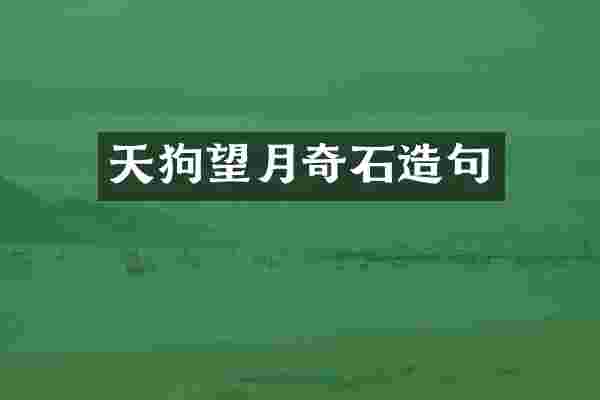 天狗望月奇石造句