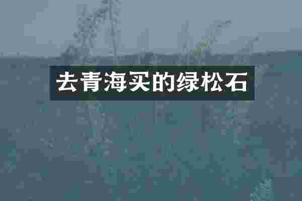 去青海买的绿松石