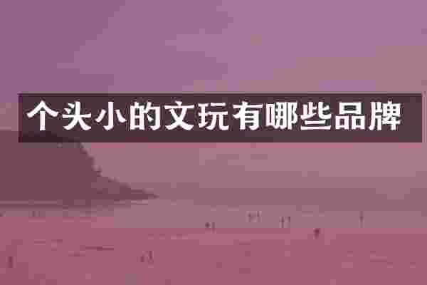 个头小的文玩有哪些品牌