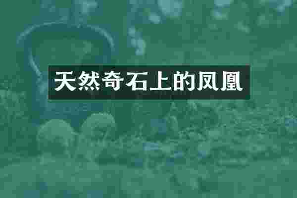 天然奇石上的凤凰