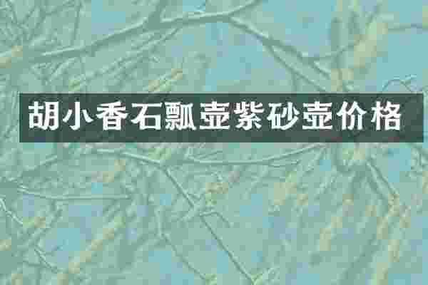 胡小香石瓢壶紫砂壶价格