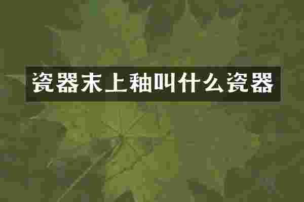 瓷器末上釉叫什么瓷器