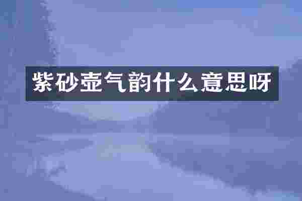 紫砂壶气韵什么意思呀
