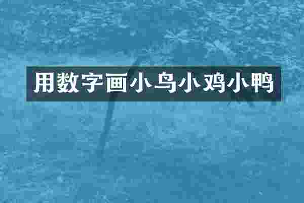 用数字画小鸟小鸡小鸭