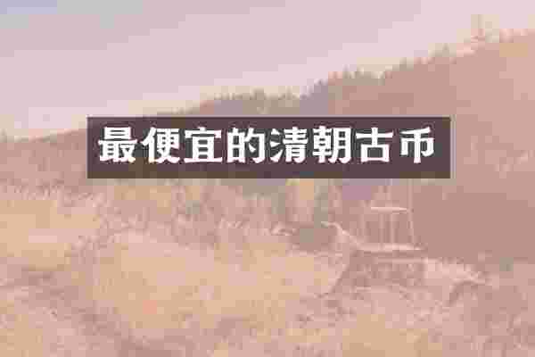 最便宜的清朝古币