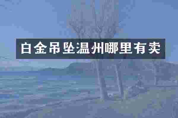 白金吊坠温州哪里有卖