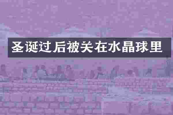 圣诞过后被关在水晶球里