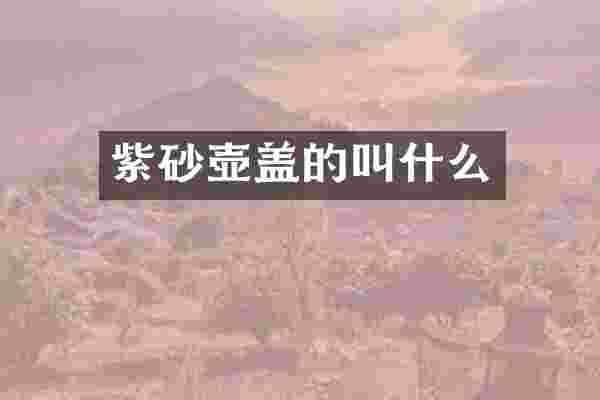 紫砂壶盖的叫什么