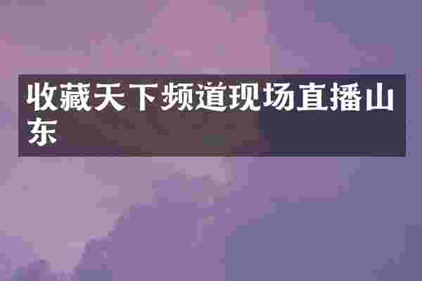 收藏天下频道现场直播山东