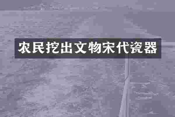 农民挖出文物宋代瓷器