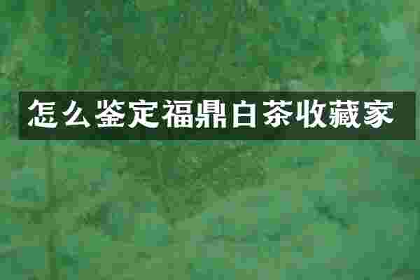 怎么鉴定福鼎白茶收藏家