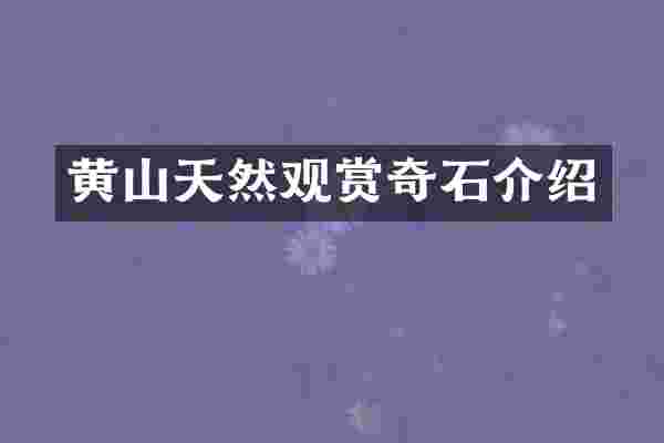 黄山天然观赏奇石介绍