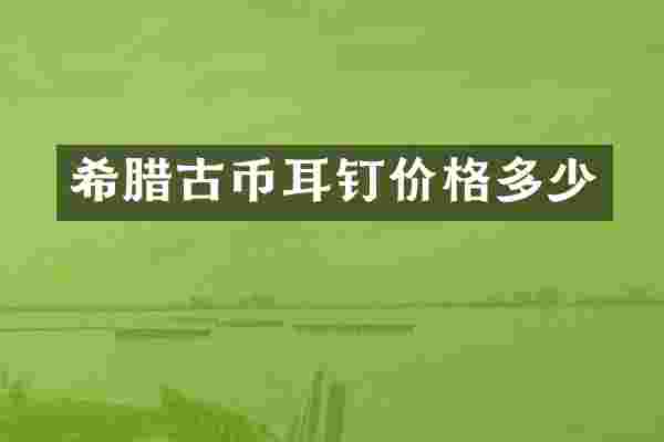 希腊古币耳钉价格多少