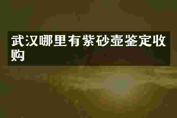 武汉哪里有紫砂壶鉴定收购