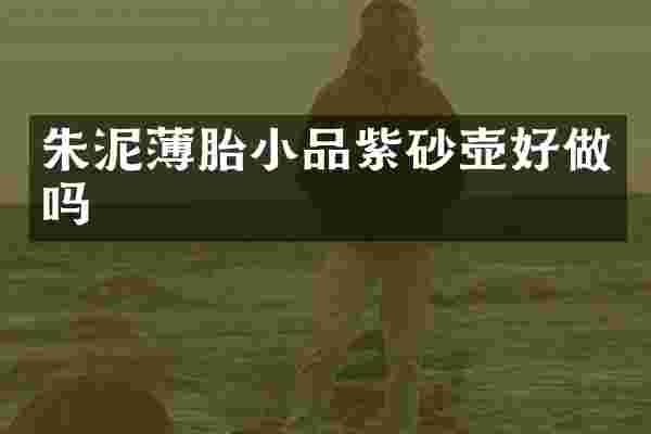 朱泥薄胎小品紫砂壶好做吗