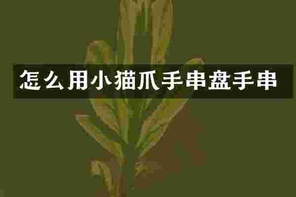 怎么用小猫爪手串盘手串