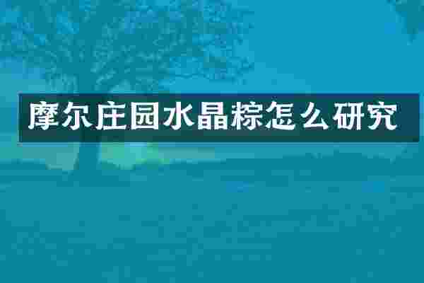摩尔庄园水晶粽怎么研究