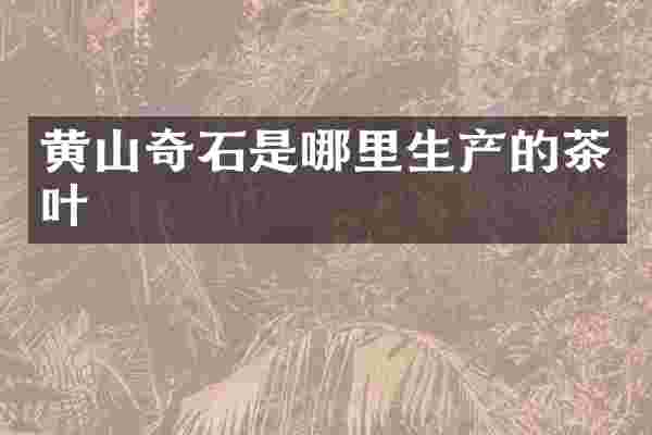 黄山奇石是哪里生产的茶叶