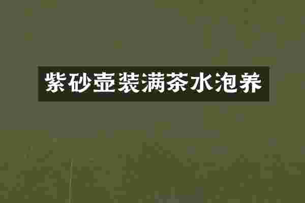 紫砂壶装满茶水泡养