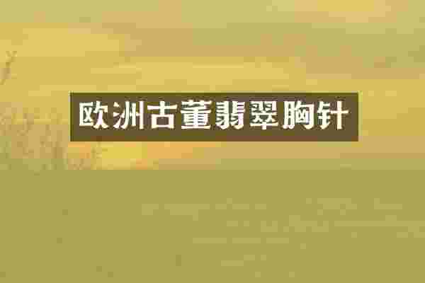 欧洲古董翡翠胸针