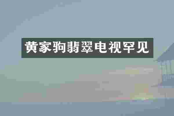 黄家驹翡翠电视罕见