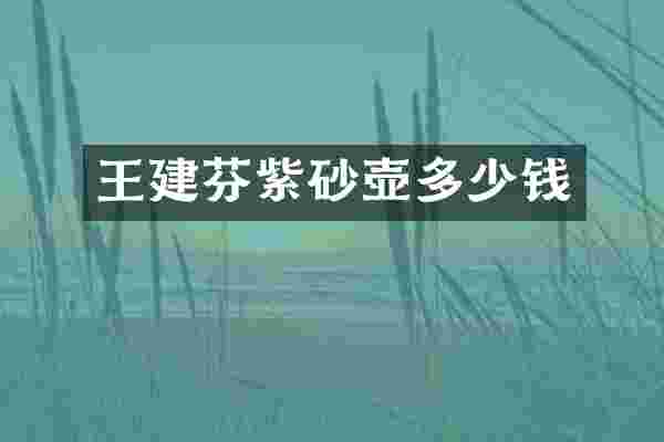 王建芬紫砂壶多少钱