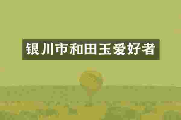 银川市和田玉爱好者