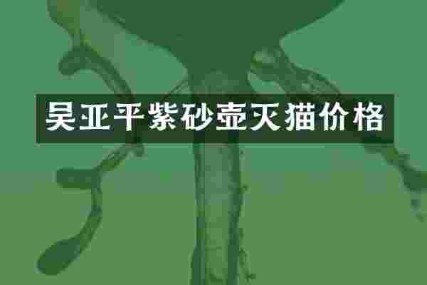 吴亚平紫砂壶灭猫价格