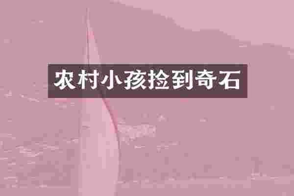 农村小孩捡到奇石