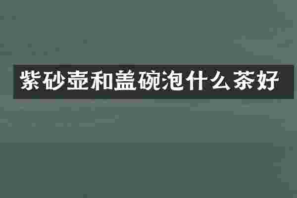 紫砂壶和盖碗泡什么茶好