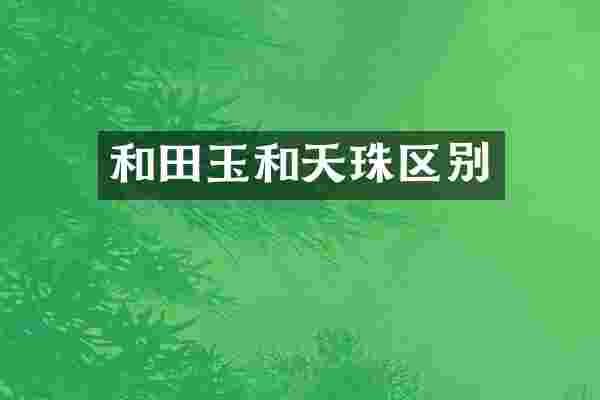 和田玉和天珠区别