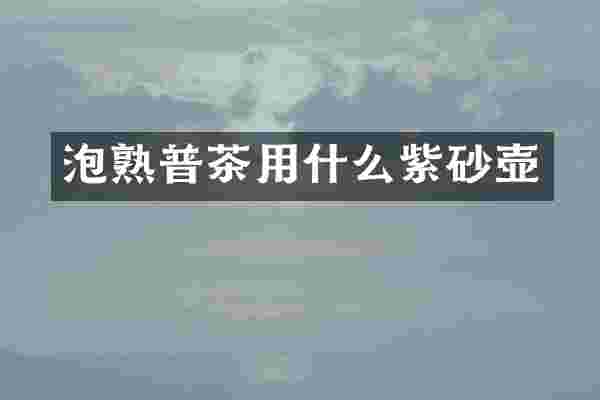 泡熟普茶用什么紫砂壶