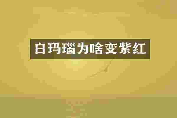白玛瑙为啥变紫红