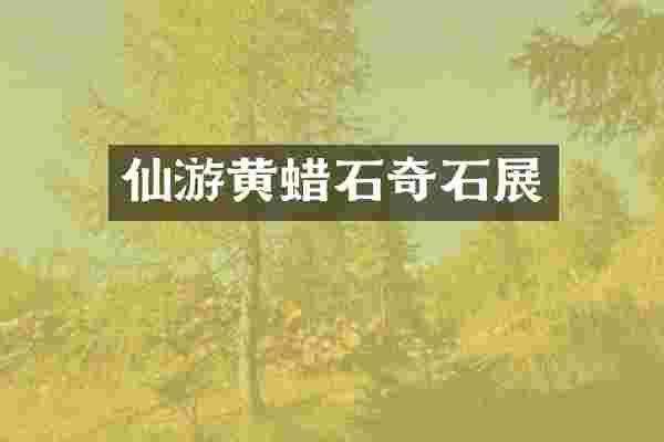 仙游黄蜡石奇石展