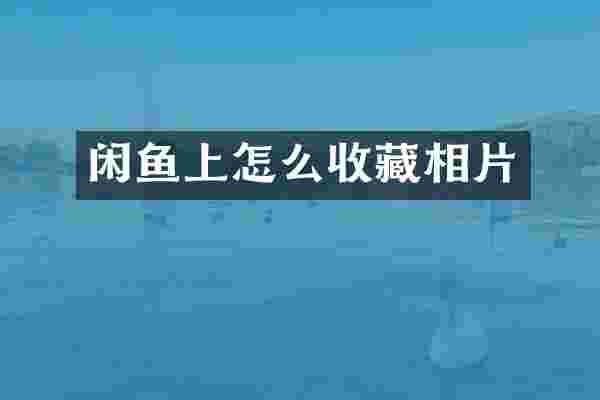 闲鱼上怎么收藏相片