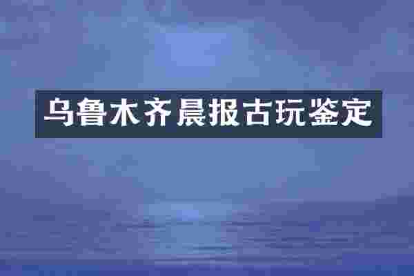乌鲁木齐晨报古玩鉴定