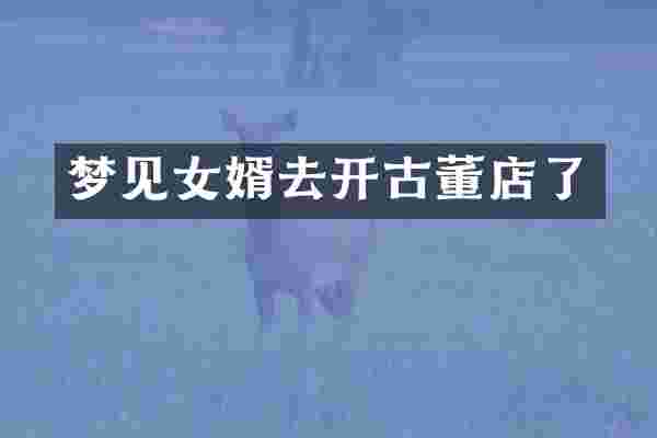 梦见女婿去开古董店了