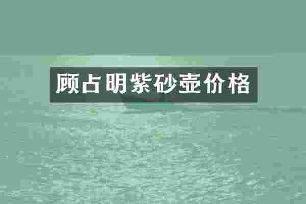 顾占明紫砂壶价格