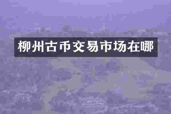 柳州古币交易市场在哪