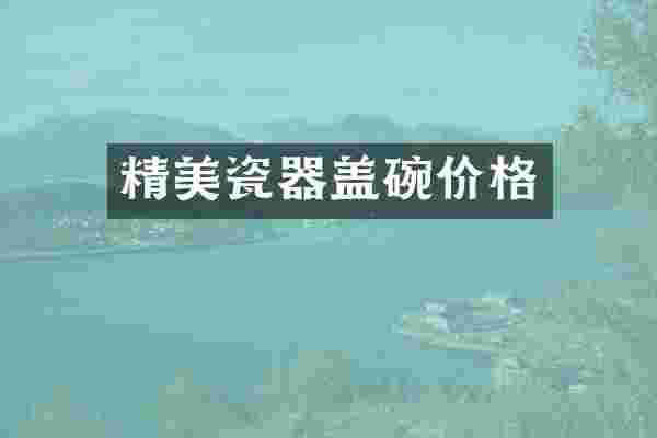 精美瓷器盖碗价格