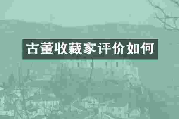 古董收藏家评价如何
