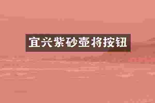 宜兴紫砂壶将按钮