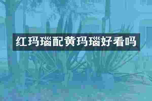 红玛瑙配黄玛瑙好看吗