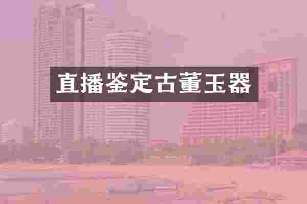 直播鉴定古董玉器