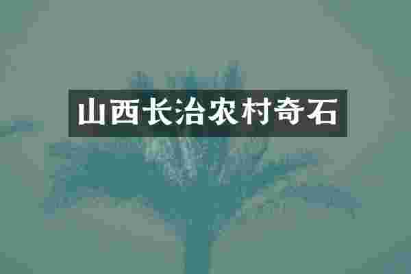 山西长治农村奇石