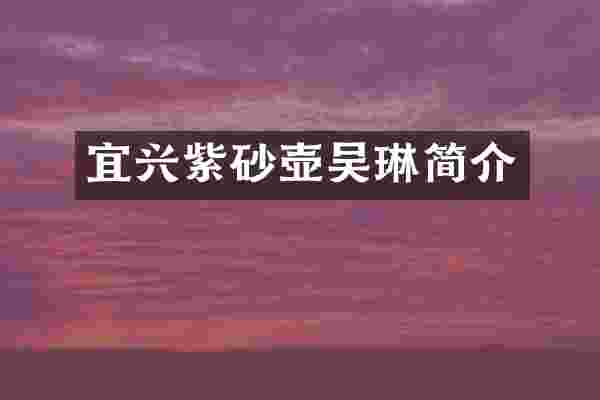 宜兴紫砂壶吴琳简介