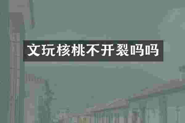 文玩核桃不开裂吗吗