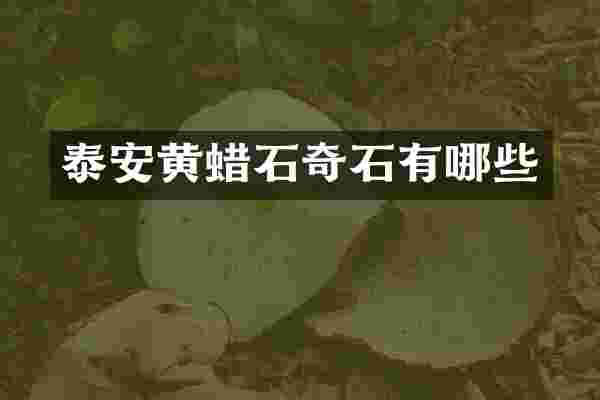 泰安黄蜡石奇石有哪些